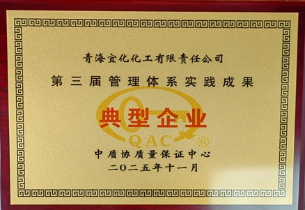 青海宜化獲評(píng) “第三屆管理體系實(shí)踐成果典型企業(yè)”(圖1)